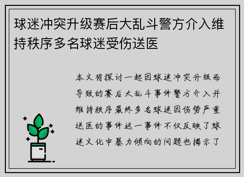 球迷冲突升级赛后大乱斗警方介入维持秩序多名球迷受伤送医 球迷冲突升级赛后大乱斗警方介入维持秩序多名球迷受伤送医